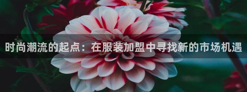 谈球吧体育app官网