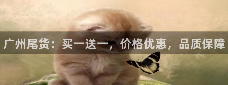 谈球吧app赛事分析报告