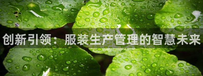 谈球吧体育app下载中心在哪