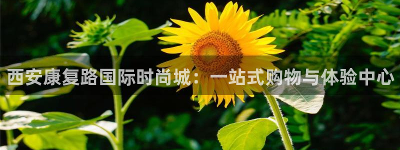 谈球吧体育app下载中心