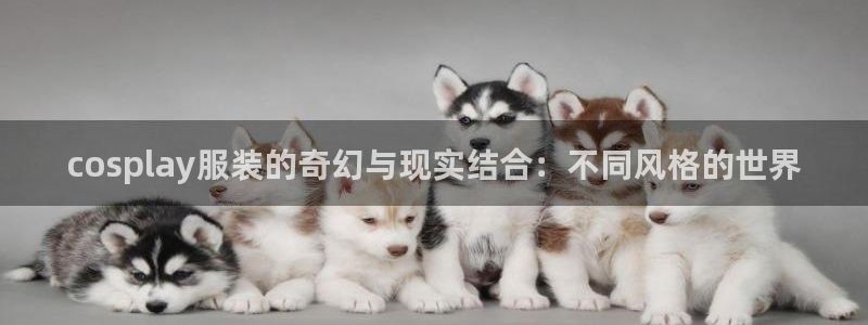 谈球吧网页版在线入口