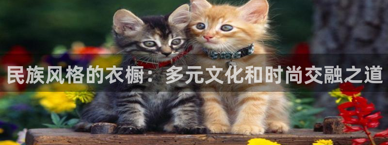 谈球吧app官网下载安卓