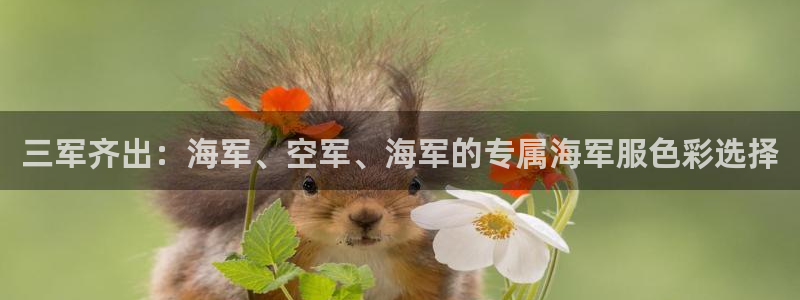 谈球吧是黑台子吗是真的吗