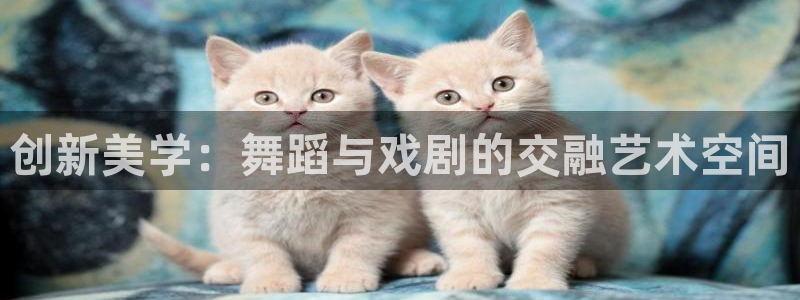 谈球吧官网在线入口手机版