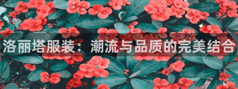 谈球吧体育app下载官网苹果手机