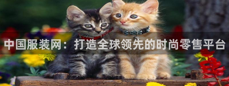 谈球吧平台正规吗：中国服装网：打造全球领