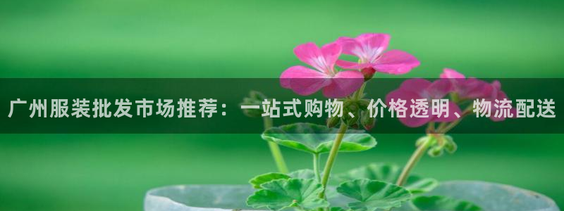 谈球吧tvt
