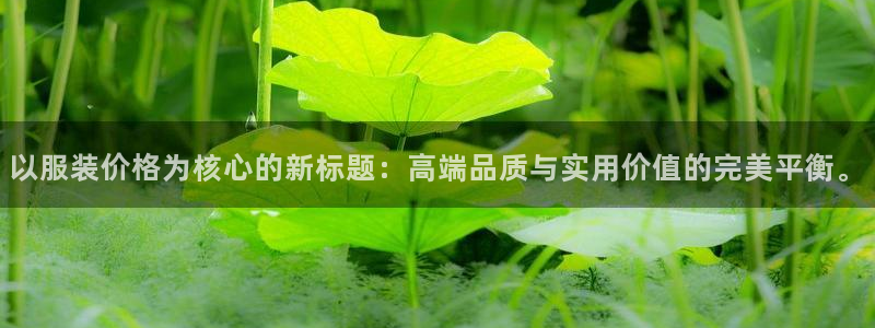 谈球吧怎么充值：以服装价格为核心的新标题