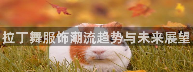 谈球吧平台：拉丁舞服饰潮流趋势与未来展望